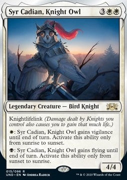 Syr Cadian, Knight Owl
